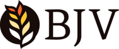 BJV Logo (EUIPO, 04/06/2017)