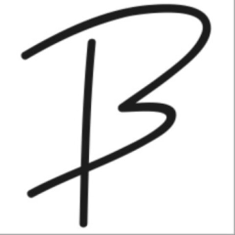 B Logo (EUIPO, 07.02.2019)