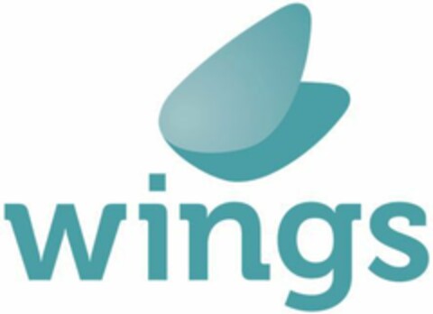 wings Logo (EUIPO, 12/06/2019)