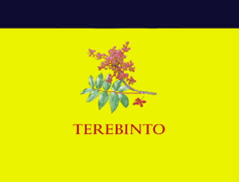 TEREBINTO Logo (EUIPO, 18.05.2020)