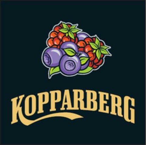 KOPPARBERG Logo (EUIPO, 07/23/2007)