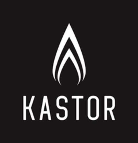KASTOR Logo (EUIPO, 09.01.2015)