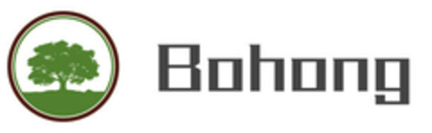 Bohong Logo (EUIPO, 07/30/2019)