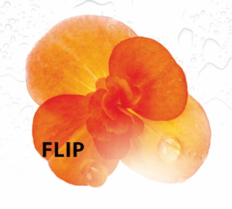 FLIP Logo (EUIPO, 22.06.2022)