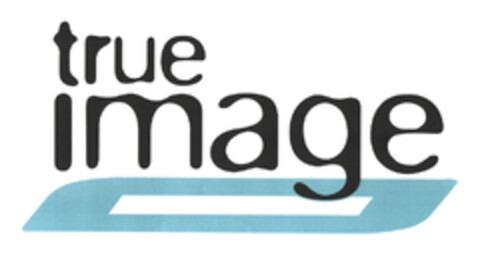 true image Logo (EUIPO, 09/04/2003)