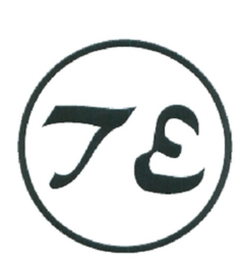 T E Logo (EUIPO, 19.06.2009)