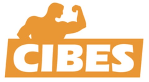 CIBES Logo (EUIPO, 12.01.2015)