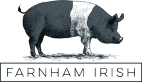 FARNHAM IRISH Logo (EUIPO, 09.12.2016)