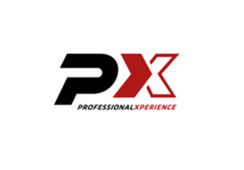 px PROFESSIONALXPERIENCE Logo (EUIPO, 15.05.2019)