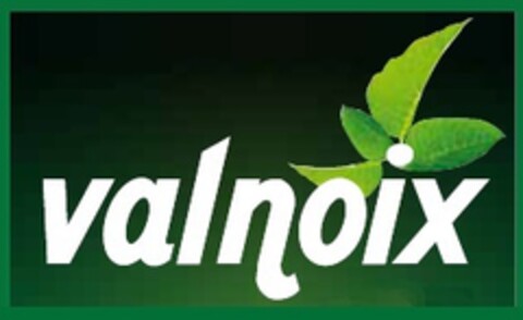 valnoix Logo (EUIPO, 02/22/2021)