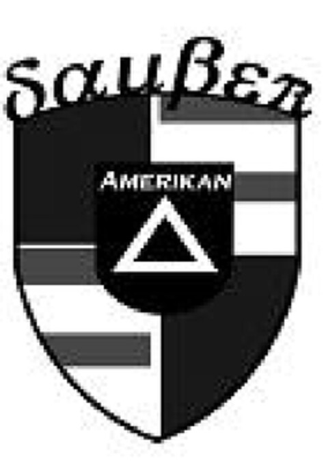 SAUBER AMERIKAN Logo (EUIPO, 10.04.2009)