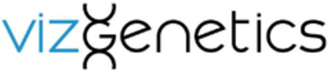 vizGenetics Logo (EUIPO, 03/26/2024)