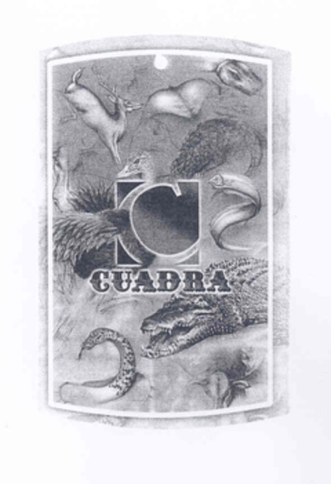 CUADRA Logo (EUIPO, 03.09.2003)