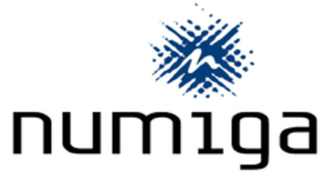 numiga Logo (EUIPO, 14.07.2008)