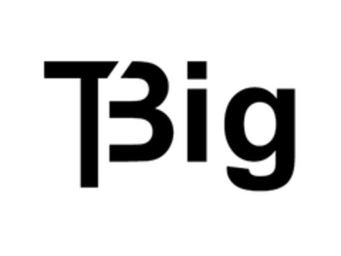 TBig Logo (EUIPO, 29.06.2010)