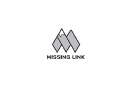 MISSING LINK Logo (EUIPO, 28.03.2012)