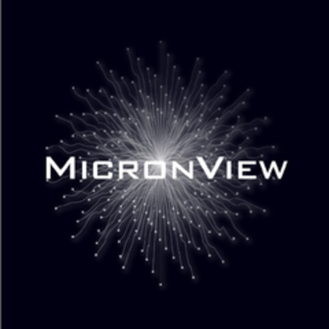 MICRONVIEW Logo (EUIPO, 17.11.2020)