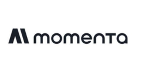 M momenta Logo (EUIPO, 06/04/2024)