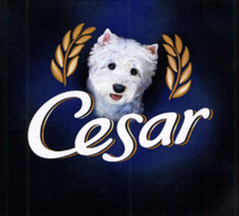 Cesar Logo (EUIPO, 10/01/2004)