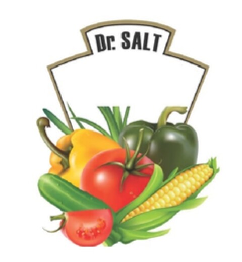 Dr. SALT Logo (EUIPO, 11.11.2013)