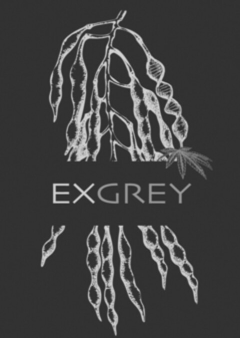 exgrey Logo (EUIPO, 05.11.2019)