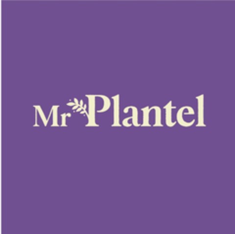 Mr Plantel Logo (EUIPO, 04/21/2022)