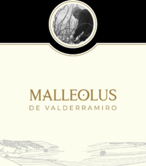 MALLEOLUS DE VALDERRAMIRO Logo (EUIPO, 05.03.2024)