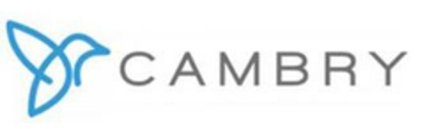 CAMBRY Logo (EUIPO, 05/22/2024)