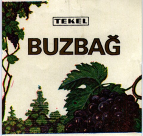 TEKEL BUZBAG Logo (EUIPO, 21.05.1996)