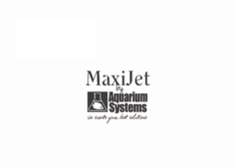 MaxiJet by Aquarium Systems We create your best solutions Logo (EUIPO, 07.02.2013)