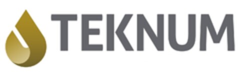 TEKNUM Logo (EUIPO, 10/28/2014)