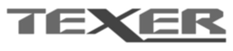 TEXER Logo (EUIPO, 23.03.2015)