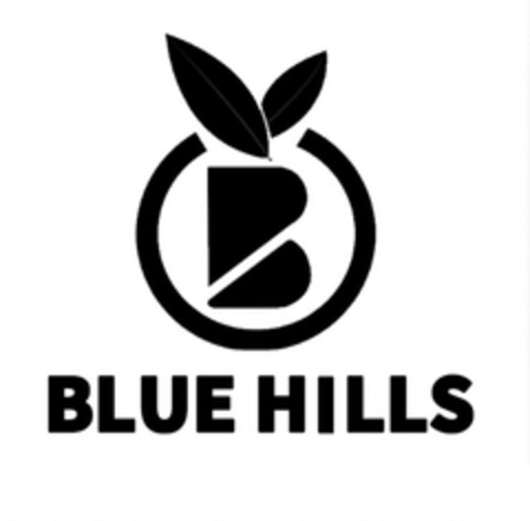 B BLUE HILLS Logo (EUIPO, 21.12.2020)