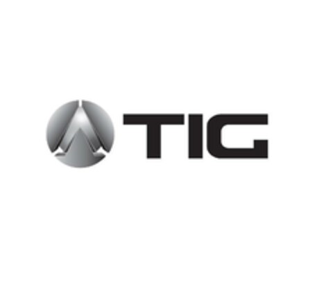 TIG Logo (EUIPO, 06.07.2022)
