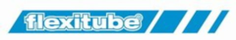 flexitube Logo (EUIPO, 28.08.2006)