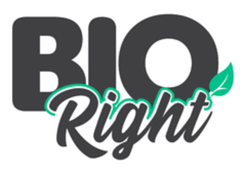 BioRight Logo (EUIPO, 04/29/2021)