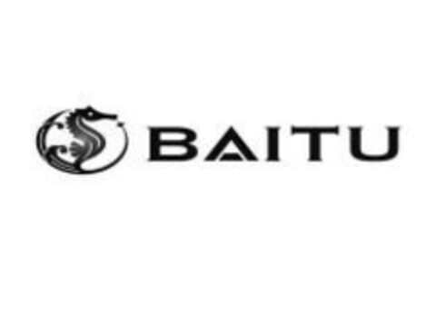 BAITU Logo (EUIPO, 18.01.2024)