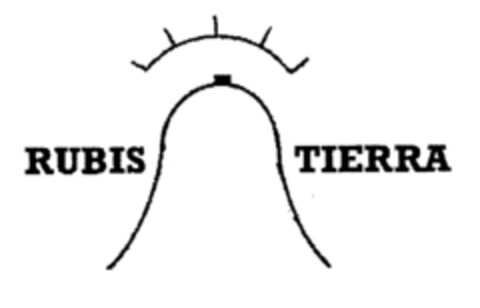 RUBIS TIERRA Logo (EUIPO, 19.02.2002)