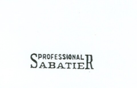 PROFESSIONAL SABATER Logo (EUIPO, 10/14/2008)