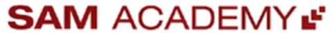 SAM ACADEMY Logo (EUIPO, 24.04.2012)