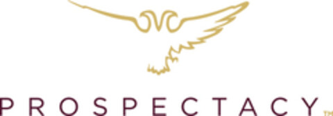 PROSPECTACY TM Logo (EUIPO, 05/08/2016)