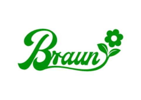 Braun Logo (EUIPO, 08/20/2019)