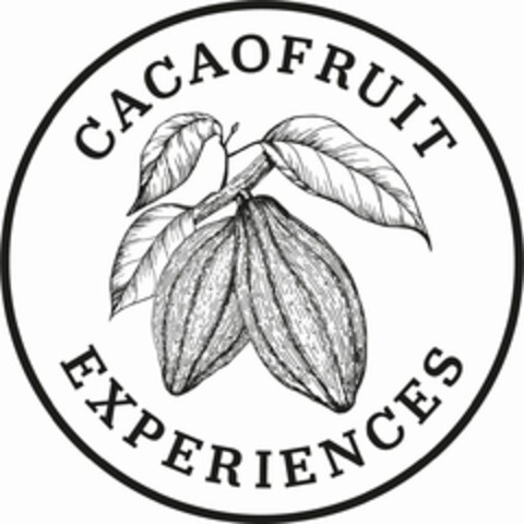 CACAOFRUIT EXPERIENCES Logo (EUIPO, 24.09.2019)