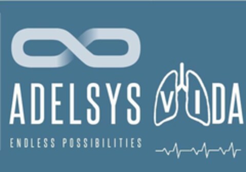 ADELSYS VIDA ENDLESS POSSIBILITIES Logo (EUIPO, 13.05.2020)