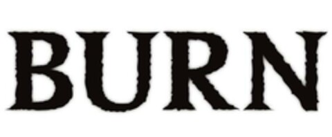 BURN Logo (EUIPO, 12/20/2023)