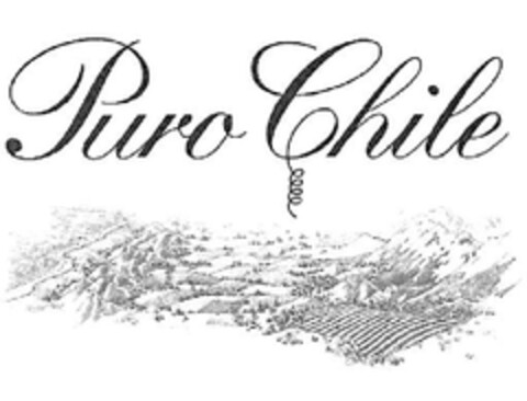 PURO CHILE Logo (EUIPO, 05/27/2011)