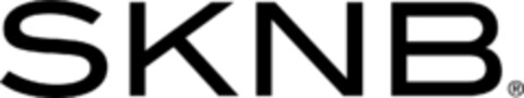 SKNB Logo (EUIPO, 08/23/2017)