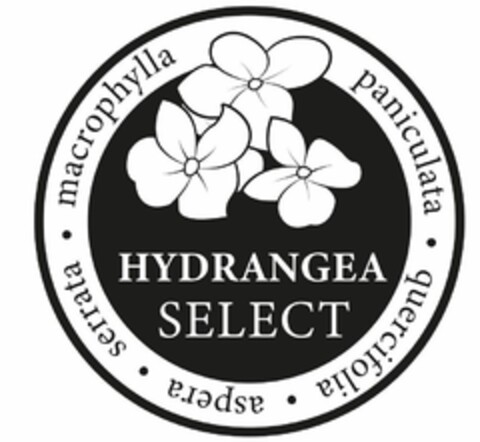 Hydrangea Select Logo (EUIPO, 18.12.2020)