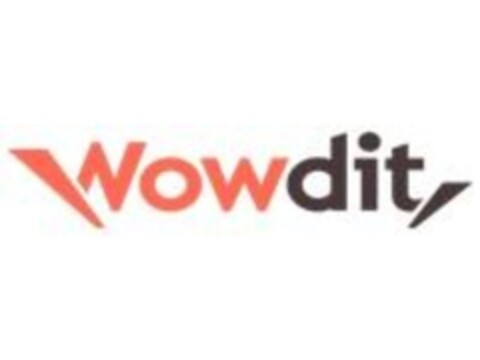 Wowdit Logo (EUIPO, 24.03.2021)