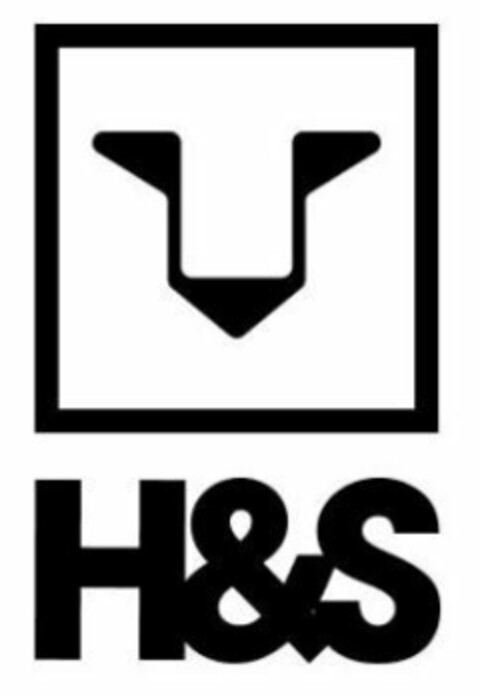 H&S Logo (EUIPO, 14.02.2022)